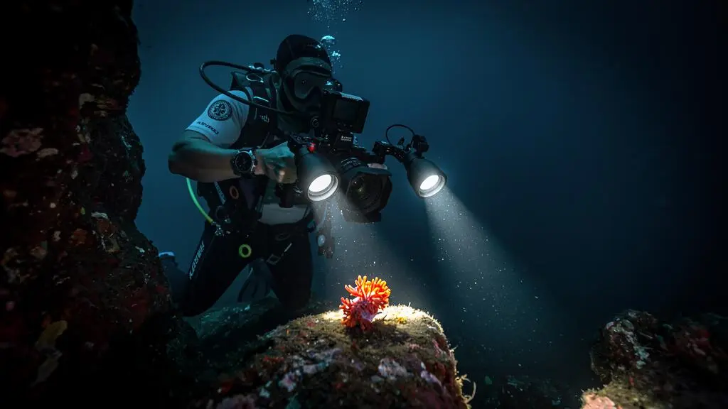 Photographe sous-marin utilisant un système de double flash sur bras articulés pour photographier un nudibranche coloré sur une roche, l'éclairage artificiel révélant les couleurs vives à environ 15 mètres de profondeur